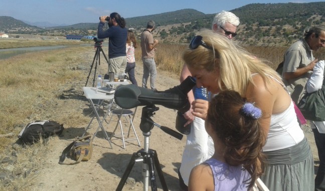 Eurobirdwatch 2016; Lesvos