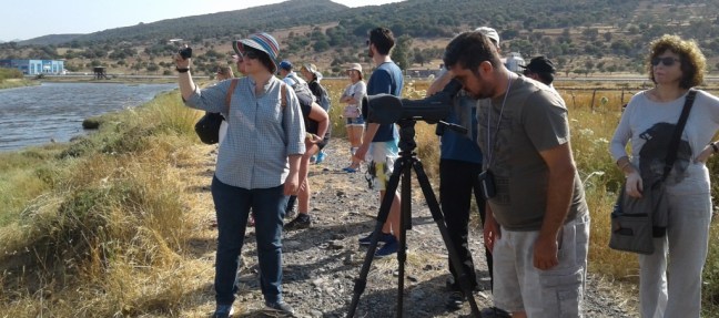 Kalloni Salt Pans; Lesvos