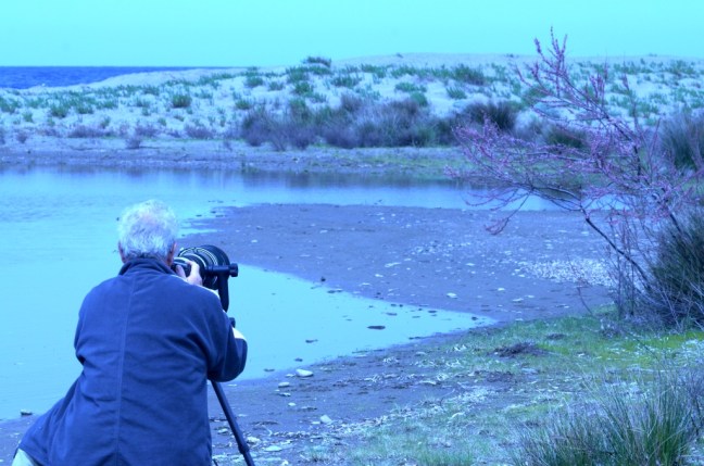 Bird photography on Lesvos