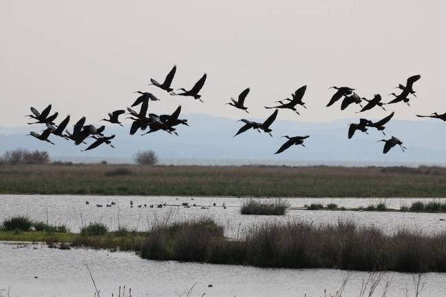 17309822_1258636377551631_9073315340631505295_n