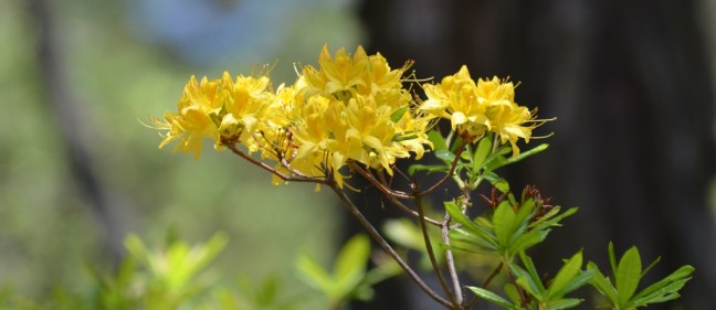 99X_8925 CROP SMALL SITE