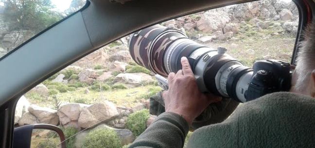 hans photographing crop for site